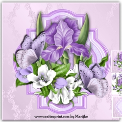 LIlac Beauty Mini Kit