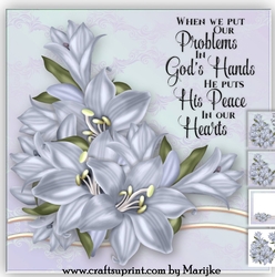 Beautiful Lilies Mini Kit
