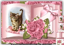 Vintage  Roses Book Mini Kit