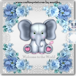 Welcome baby Boy Mini kit