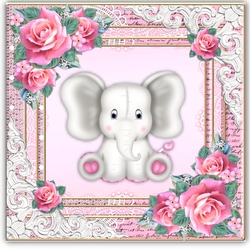 Welcome baby Girl Mini kit