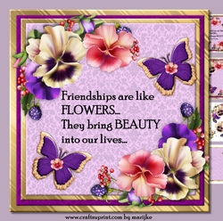 Friendship Violets Mini Kit