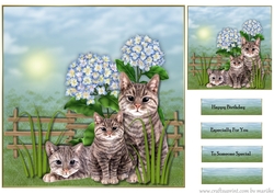 Cute cats in the garden
