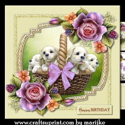 Puppy Love Mini Kit