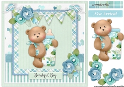 New Arrival Quick Card 2