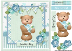New Arrival Quick Card 3
