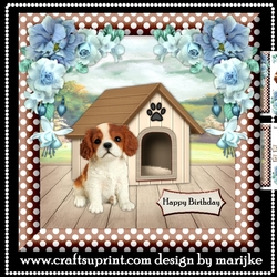 Cute KIng Charles Spaniel Puppy Birthday Card