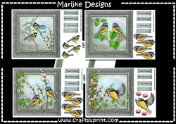Bumperkit Birds Are Beautiful