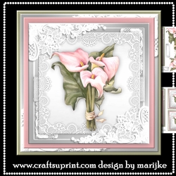Sympathy Callas Mini Kit