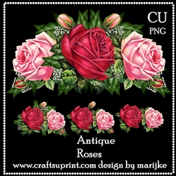 CU Antique Roses