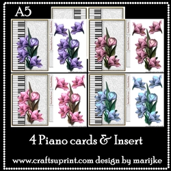 Piano cards Amaryllis Kit
