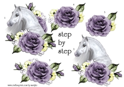 Step By Step Arabian Horse & Roses 2