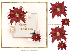  Christmas  Poinsettias Quick card
