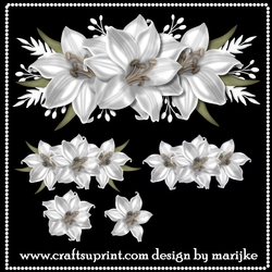 CU White Lilies