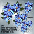 CU Vignette Blue   Poinsettias & Pearls