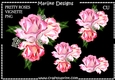 CU  Corner  Vignette Pretty  Mixed Roses