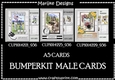 Bumperkit 3 Mini Kits Male Cards A5