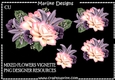 CU DR Mixed Flowers Vignette