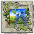 Male Card Wild Birds Mini Kit