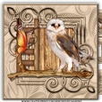 Male Card Wise Owl Mini Kit