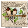 Male Card Beautiful Birds Mini Kit
