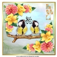 Bird Song Mini Kit