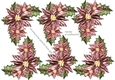 Step By Step Poinsettias in Vintage Pink