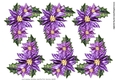 Step By Step Poinsettias in Purple