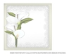 Sympathy Callas Verse Insert