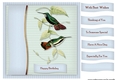Male Card Antique Hummingbird Topper & Tags 4