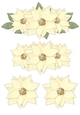 Step By Step Cream Poinsettias