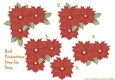 Step By Step Red Poinsettias