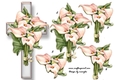 Sympathy Cross Callas 1