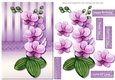 Orchids Beauty 1