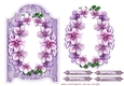 Orchids Beauty 2