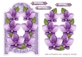 Orchids Beauty 4