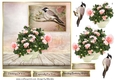  Flowers and Bird  Quick card
