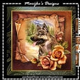 Male  Card  German Sheperd