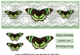 Large DL Card  Vintage Butterflies 2
