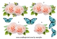 Step By Step Pretty Roses