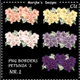 CU Petunia Borders 