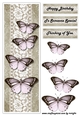 Large DL Card Vintage Butterflies 5