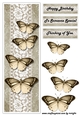 Large DL Card Vintage Butterflies 4