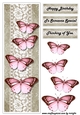 Large DL Card Vintage Butterflies 6