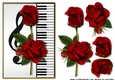 A5 Piano Red Roses