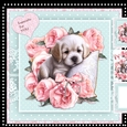 i Love Puppies Mini Kit