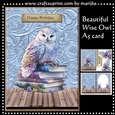 A5 Beautiful Wise Owl Card