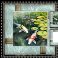 Male Card Koi Fish Mini Kit 2