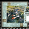 Male Card Koi Fish Mini Kit 4