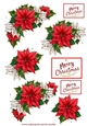 Poinsettias Step By Step